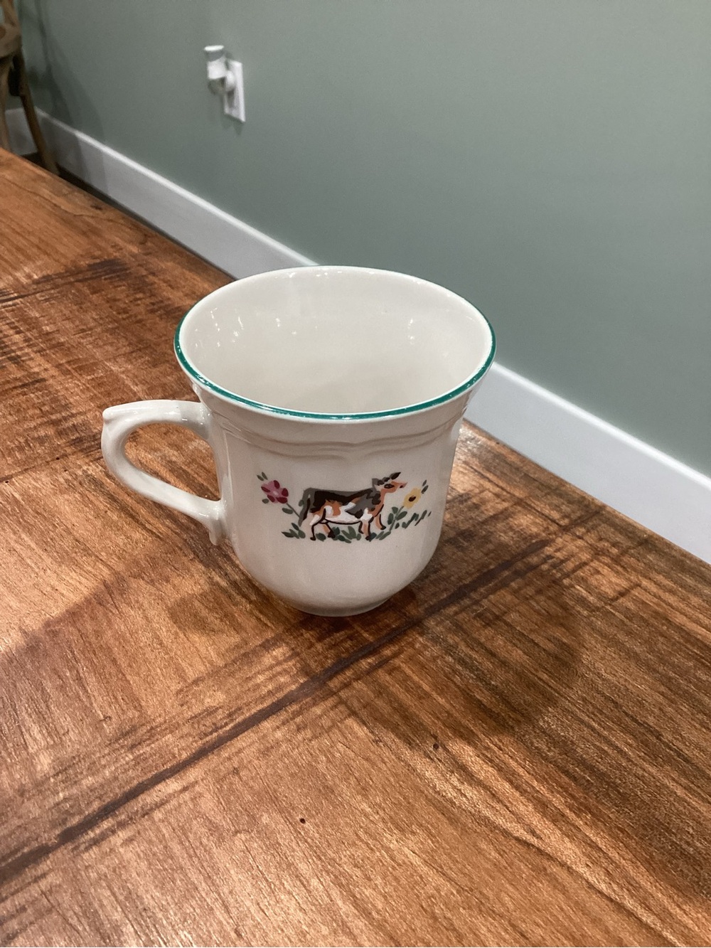 Cute Ceramic Mug Cup - Collector Cup